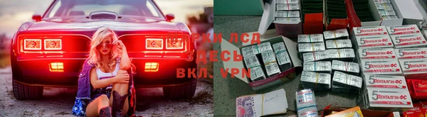 хмурый Алексин