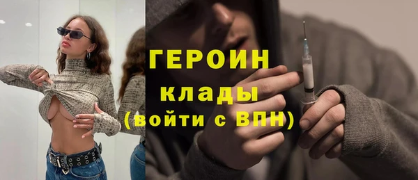 хмурый Алексин