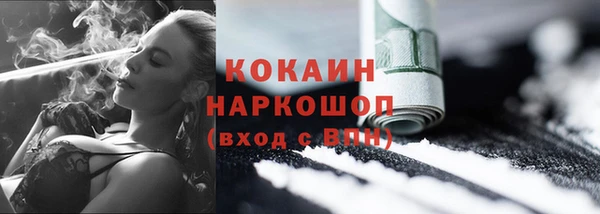 хмурый Алексин