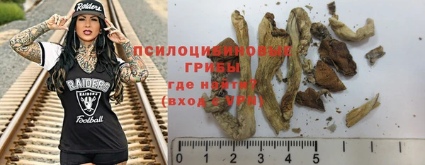 хмурый Алексин