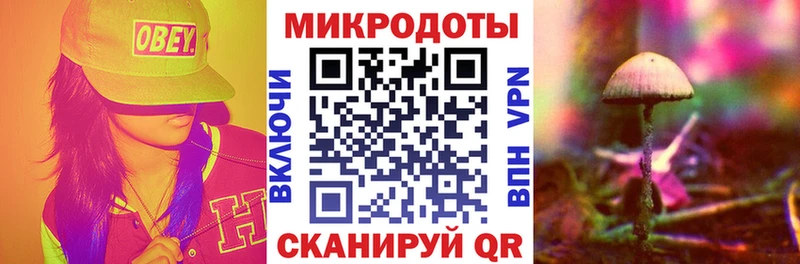 omg ссылки  Сураж  Псилоцибиновые грибы мухоморы  магазин продажи наркотиков 